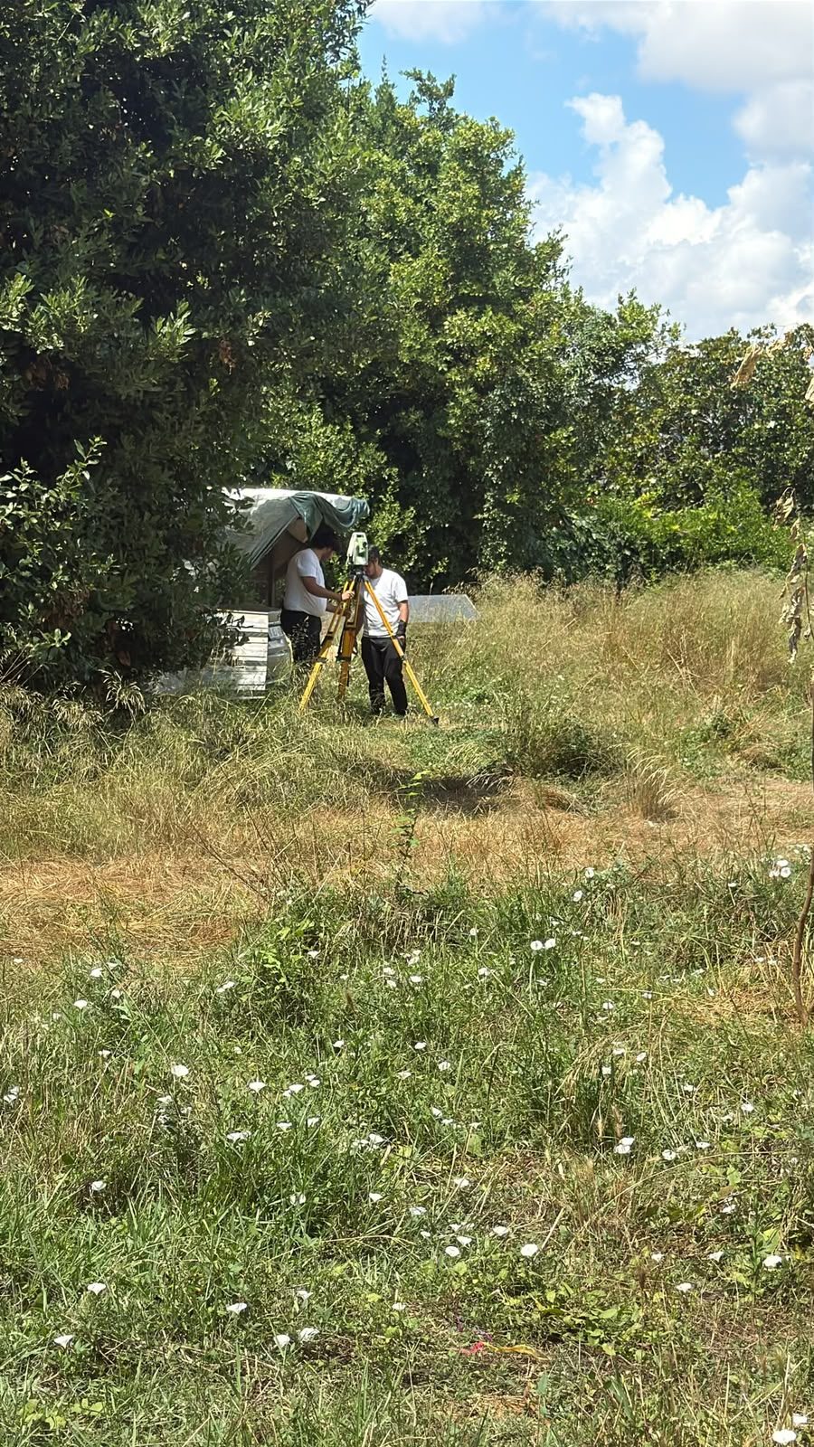 Yapı ve Yapı Deformasyon